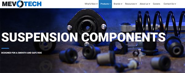 mevotech strut mount