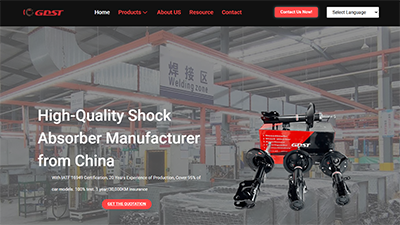 shock absorber manufacturer