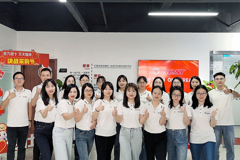 GDST Team Ball Joint