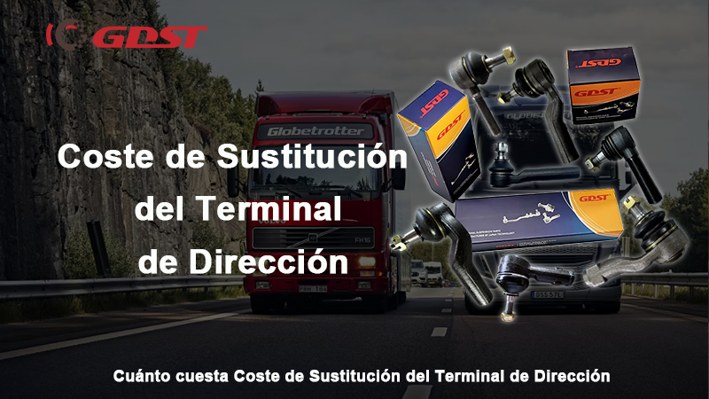 Coste de Sustitución del Terminal de Dirección