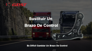 Sustituir Un Brazo De Control